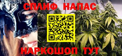 сатива Конаково