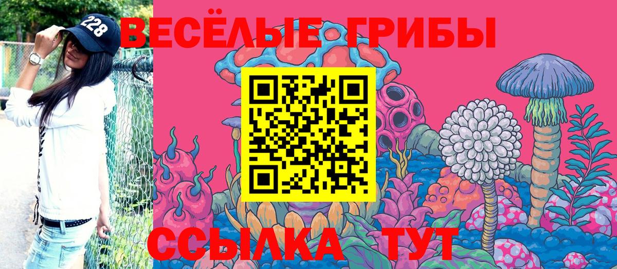Галлюциногенные грибы ЛСД Котельники