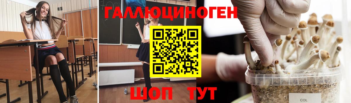 Галлюциногенные грибы ЛСД  Галлюциногенные грибы Magic Shrooms  Вход с VPN  Котельники 